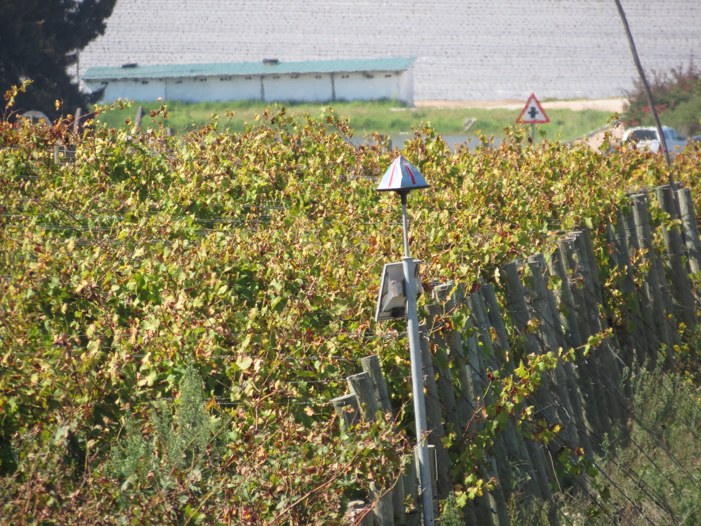 Eagle Eye® Reflective Bird Deterrent