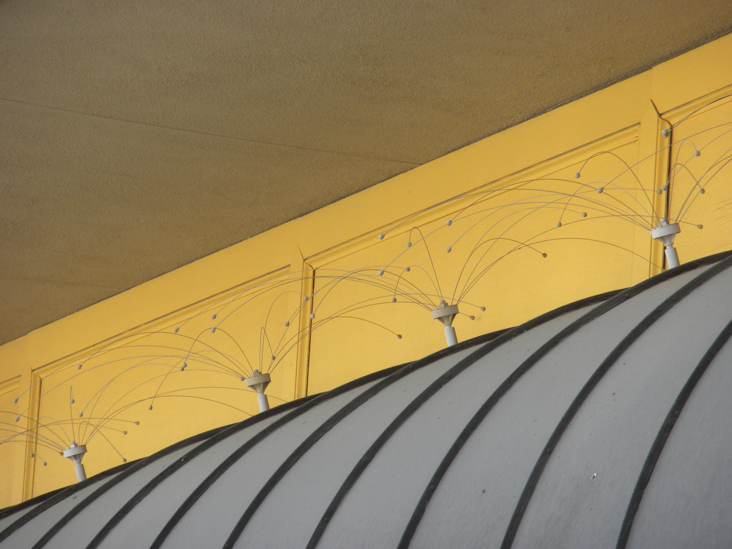 Daddi Long Leg on ceiling with yellow paneling and a curved ceiling design.