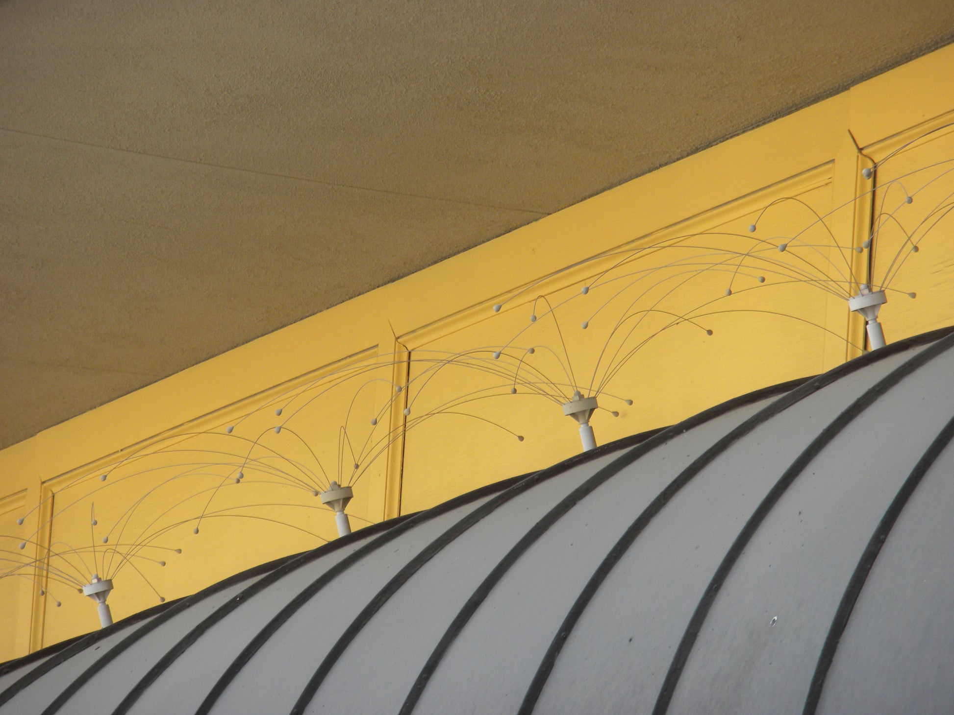 Daddi Long Leg on ceiling with yellow paneling and a curved ceiling design.