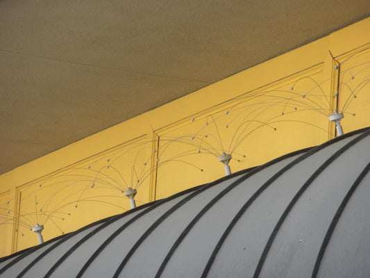 Daddi Long Leg on ceiling with yellow paneling and a curved ceiling design.