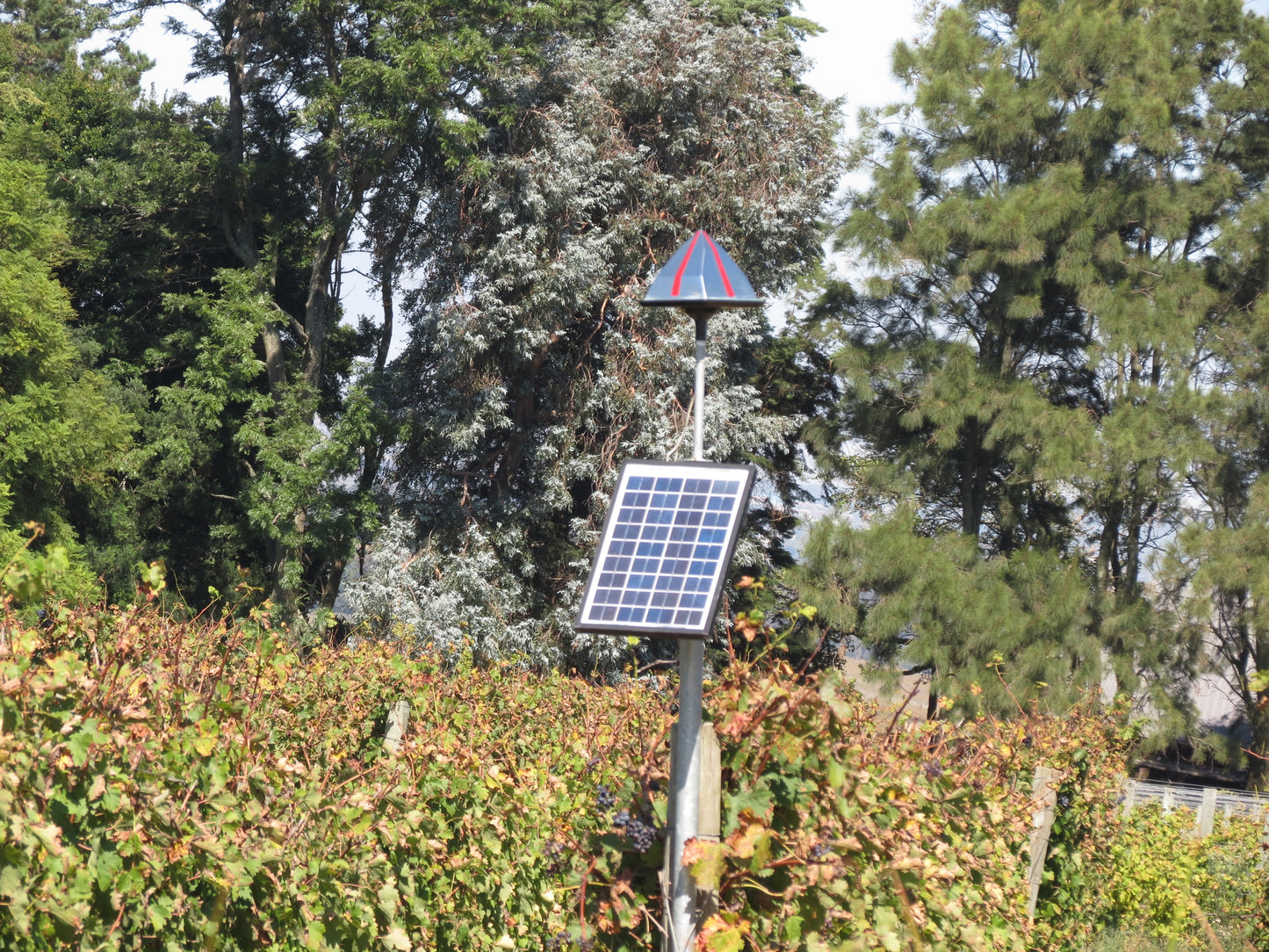 Eagle Eye® Reflective Bird Deterrent