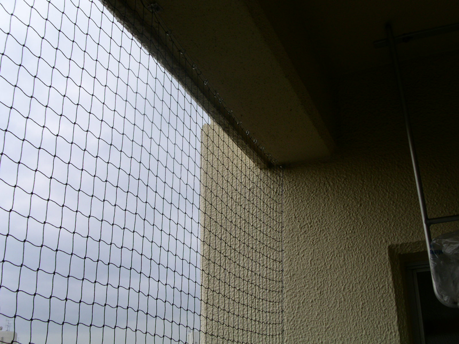 Netting on a window with a view of a building outside