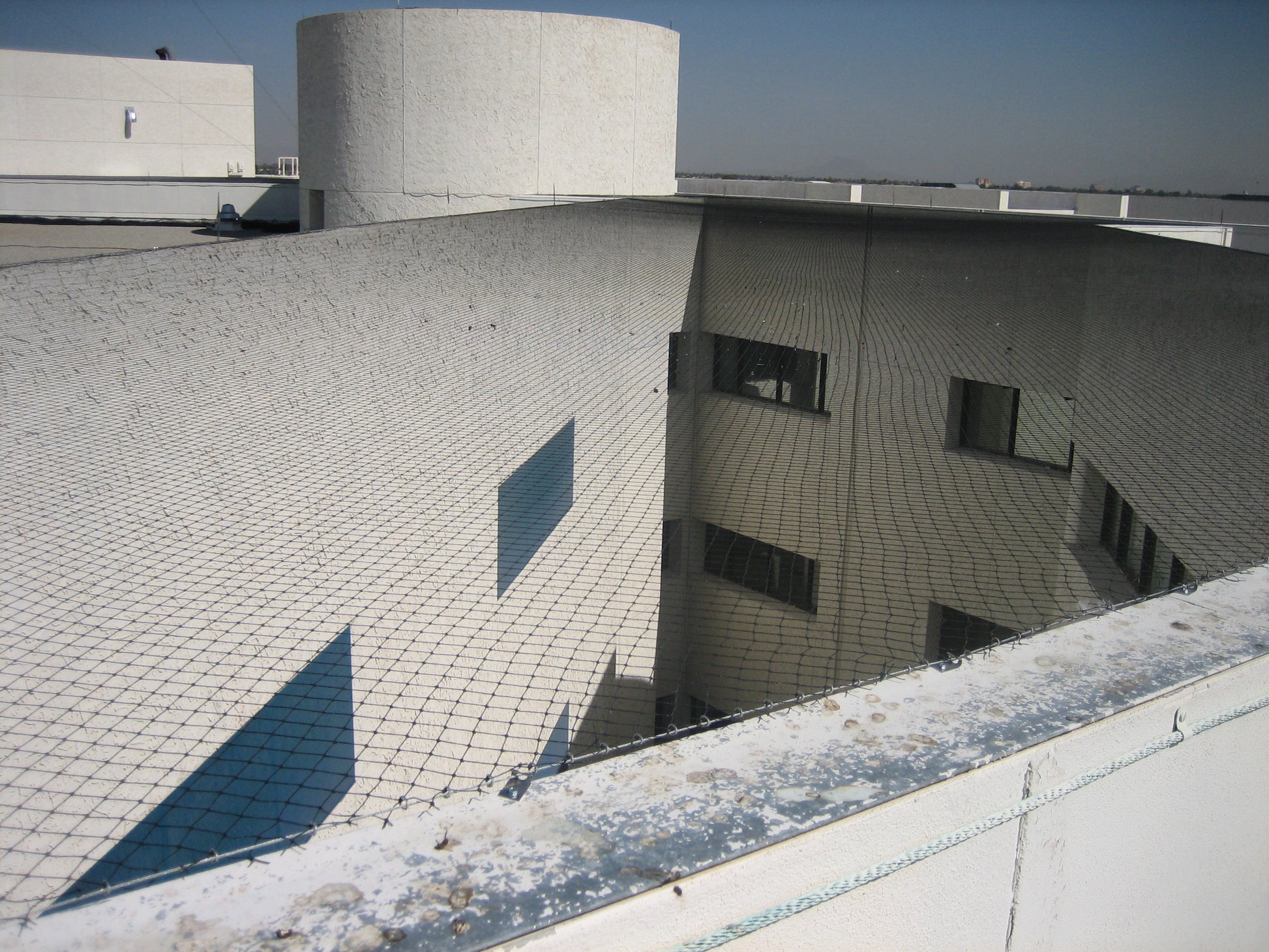 Bird barrier net on a modern architectural building with geometric design