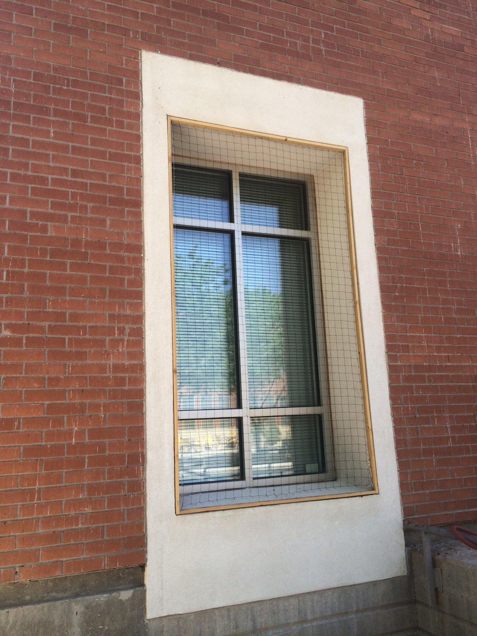 Bird barrier net on a window with decorative border on a brick wall